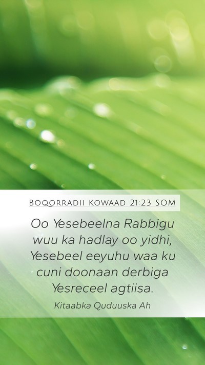 Boqorradii Kowaad 21:23 SOM Bible Verse Image