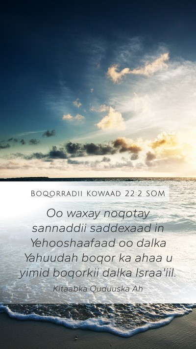 Boqorradii Kowaad 22:2 SOM Bible Verse Image