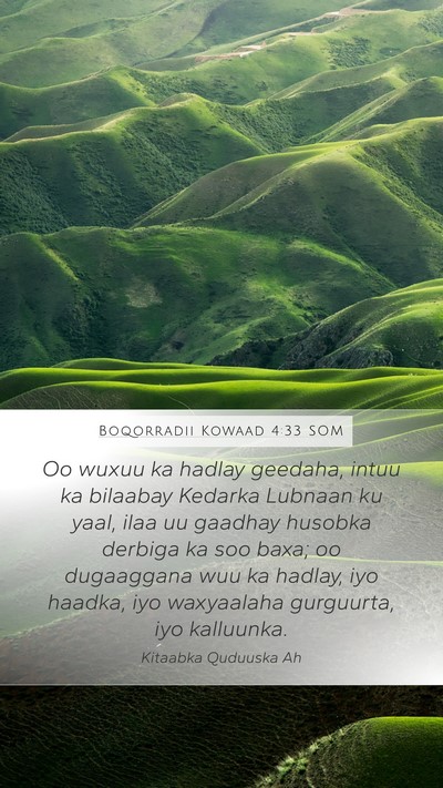 Boqorradii Kowaad 4:33 SOM Bible Verse Image