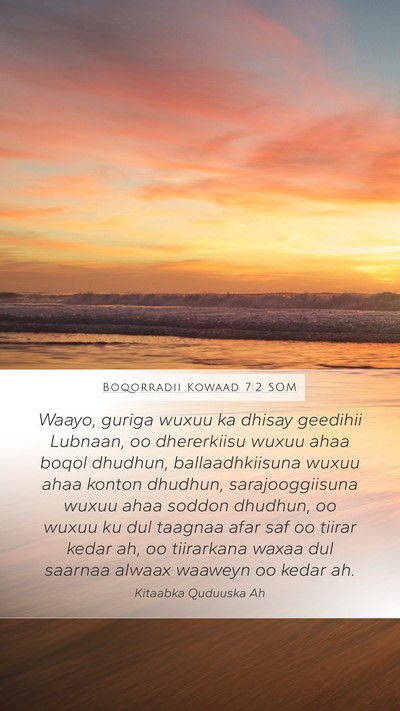 Boqorradii Kowaad 7:2 SOM Bible Verse Image
