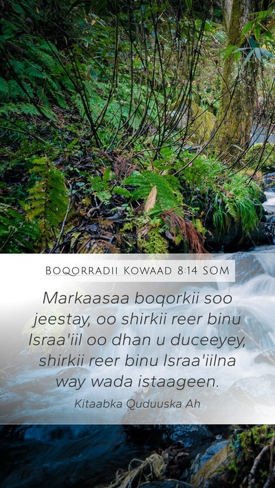 Boqorradii Kowaad 8:14 SOM Bible Verse Image