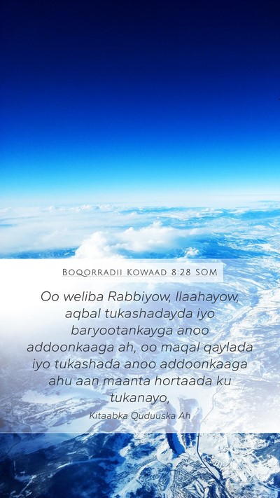 Boqorradii Kowaad 8:28 SOM Bible Verse Image