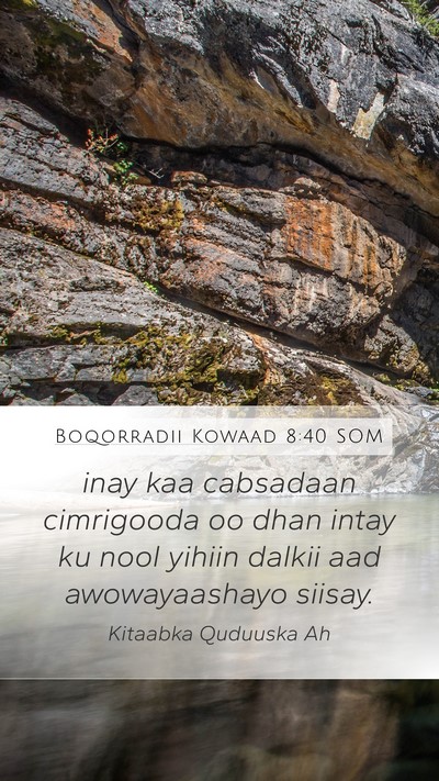 Boqorradii Kowaad 8:40 SOM Bible Verse Image