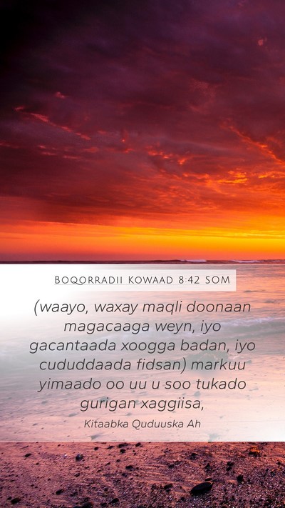 Boqorradii Kowaad 8:42 SOM Bible Verse Image