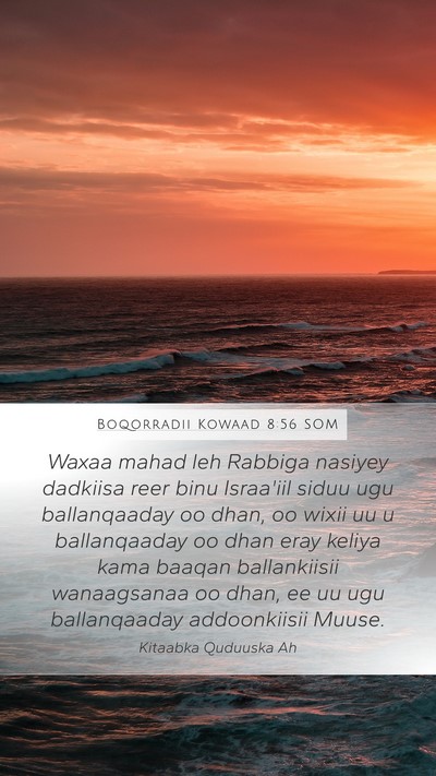 Boqorradii Kowaad 8:56 SOM Bible Verse Image