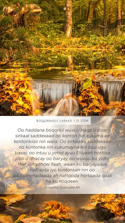 Boqorradii Labaad 1:13 SOM Bible Verse Image