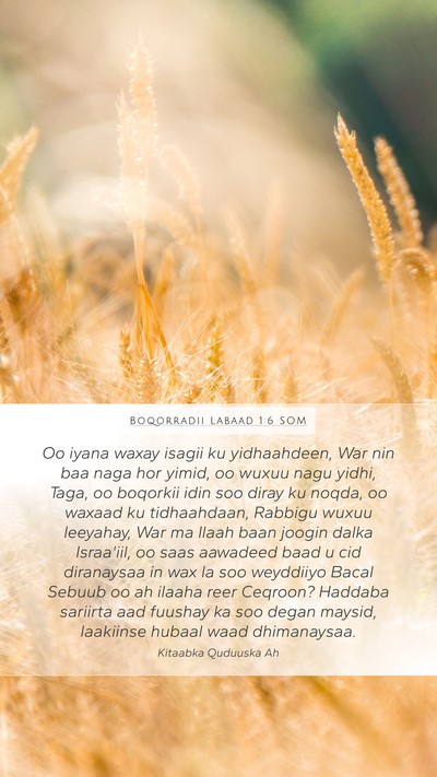 Boqorradii Labaad 1:6 SOM Bible Verse Image