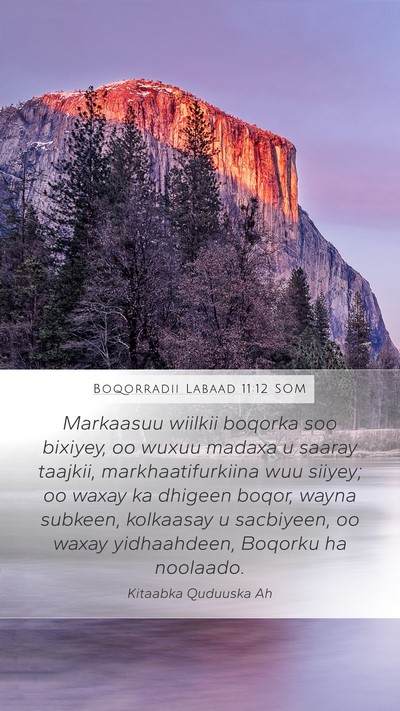 Boqorradii Labaad 11:12 SOM Bible Verse Image