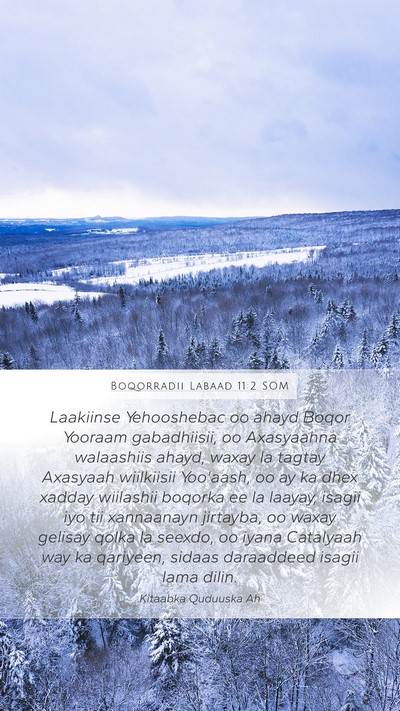 Boqorradii Labaad 11:2 SOM Bible Verse Image