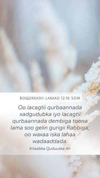 Boqorradii Labaad 12:16 SOM Mobile Phone Wallpaper - Oo lacagtii qurbaannada xadgudubka iyo lacagtii - Mobile Bible Verse Wallpaper
