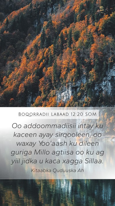 Boqorradii Labaad 12:20 SOM Bible Verse Image
