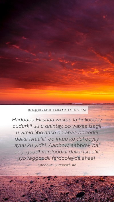 Boqorradii Labaad 13:14 SOM Bible Verse Image