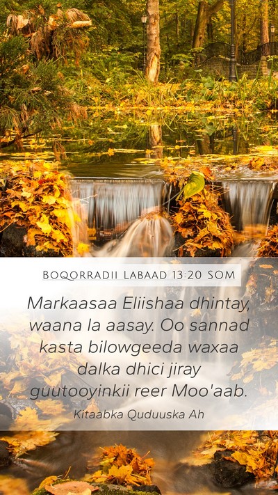 Boqorradii Labaad 13:20 SOM Bible Verse Image