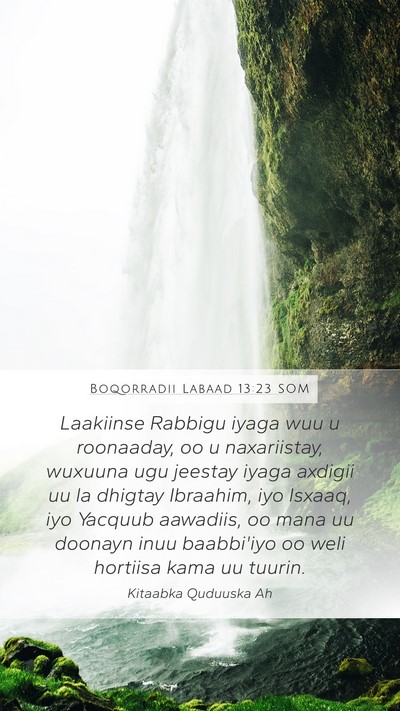 Boqorradii Labaad 13:23 SOM Bible Verse Image