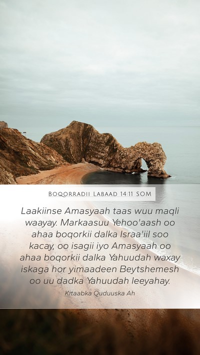 Boqorradii Labaad 14:11 SOM Bible Verse Image