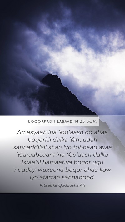 Boqorradii Labaad 14:23 SOM Bible Verse Image
