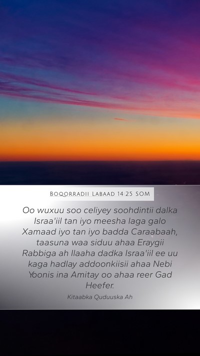 Boqorradii Labaad 14:25 SOM Bible Verse Image