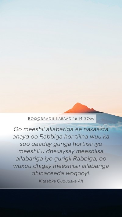Boqorradii Labaad 16:14 SOM Bible Verse Image