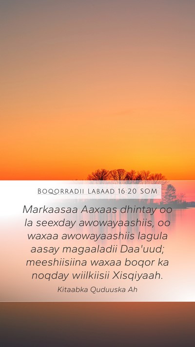 Boqorradii Labaad 16:20 SOM Bible Verse Image