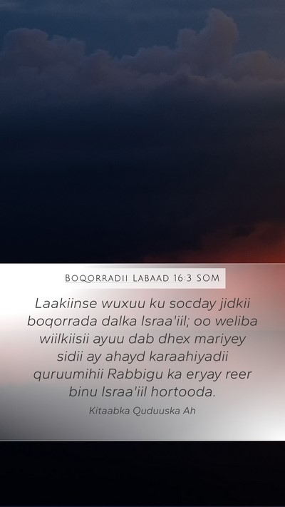 Boqorradii Labaad 16:3 SOM Bible Verse Image