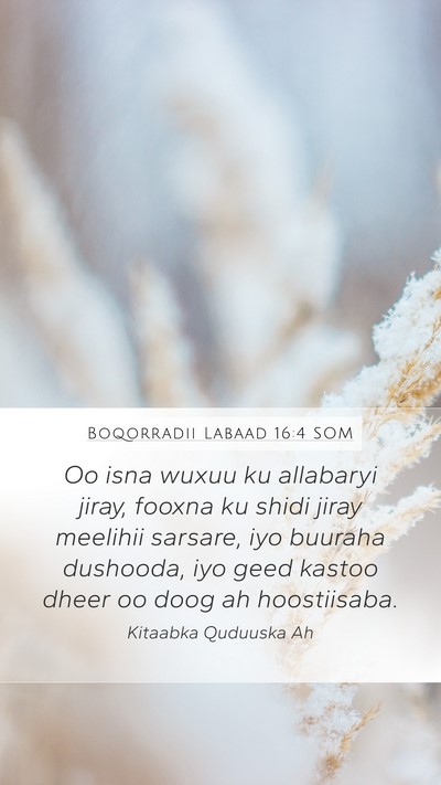 Boqorradii Labaad 16:4 SOM Bible Verse Image