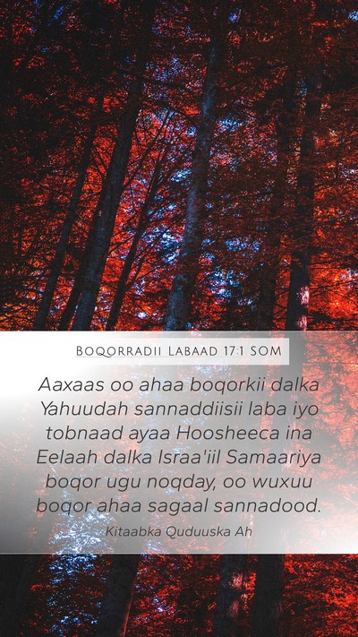 Boqorradii Labaad 17:1 SOM Bible Verse Image