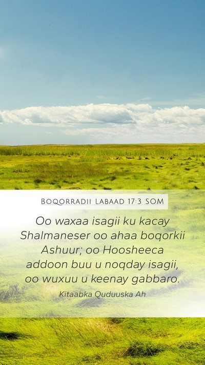 Boqorradii Labaad 17:3 SOM Bible Verse Image