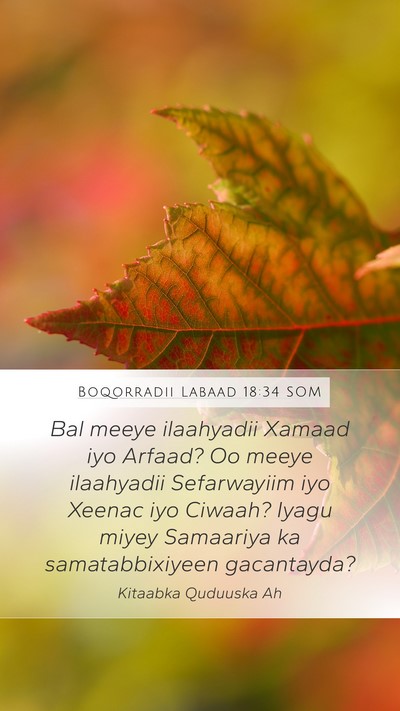 Boqorradii Labaad 18:34 SOM Bible Verse Image