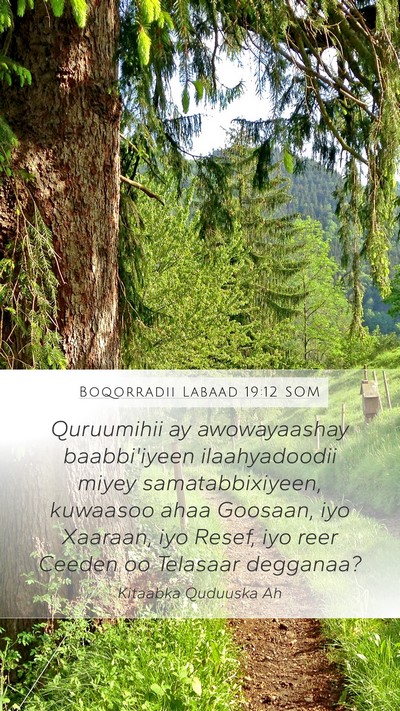 Boqorradii Labaad 19:12 SOM Bible Verse Image