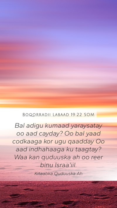 Boqorradii Labaad 19:22 SOM Bible Verse Image