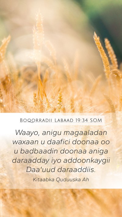 Boqorradii Labaad 19:34 SOM Bible Verse Image