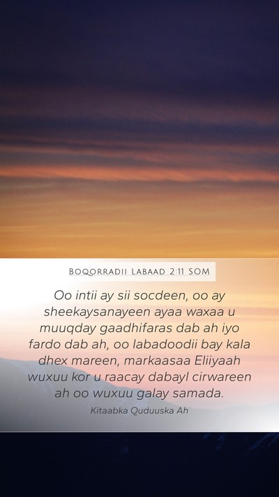 Boqorradii Labaad 2:11 SOM Bible Verse Image