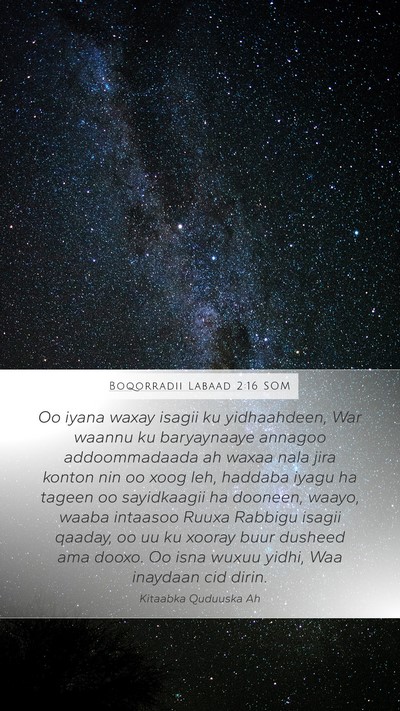 Boqorradii Labaad 2:16 SOM Bible Verse Image