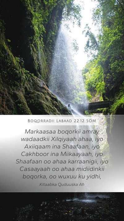 Boqorradii Labaad 22:12 SOM Bible Verse Image