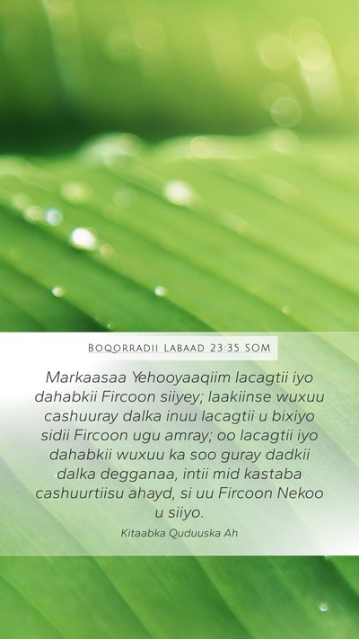 Boqorradii Labaad 23:35 SOM Bible Verse Image