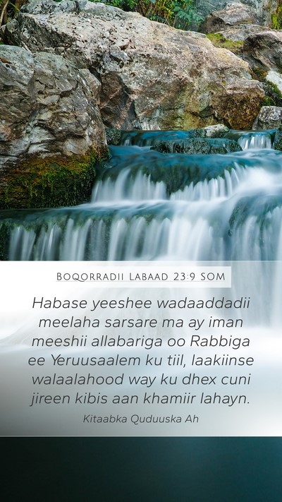 Boqorradii Labaad 23:9 SOM Bible Verse Image