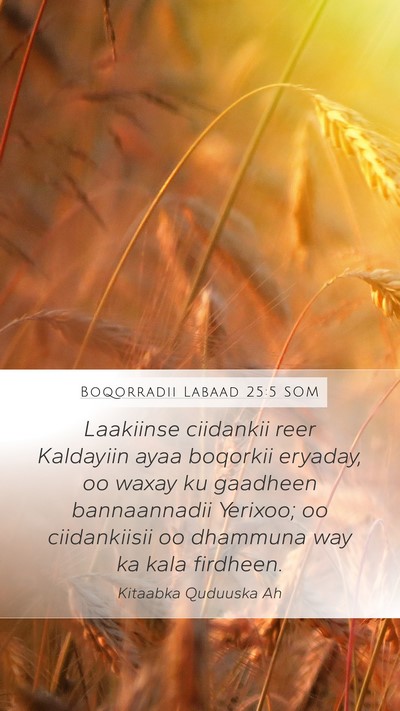 Boqorradii Labaad 25:5 SOM Bible Verse Image