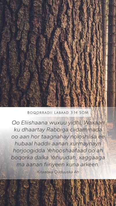 Boqorradii Labaad 3:14 SOM Mobile Phone Wallpaper - Oo Eliishaana wuxuu yidhi, Waxaan ku dhaartay - Mobile Bible Verse Wallpaper