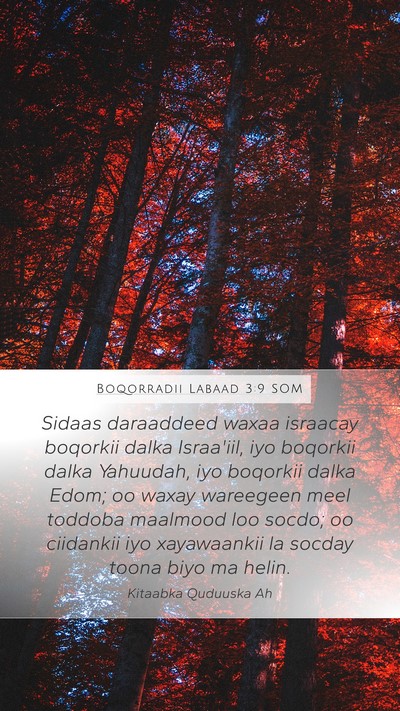 Boqorradii Labaad 3:9 SOM Bible Verse Image