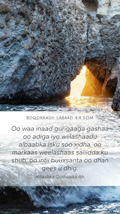 Boqorradii Labaad 4:4 SOM Bible Verse Image