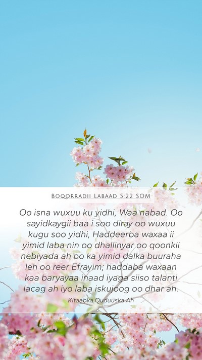 Boqorradii Labaad 5:22 SOM Bible Verse Image