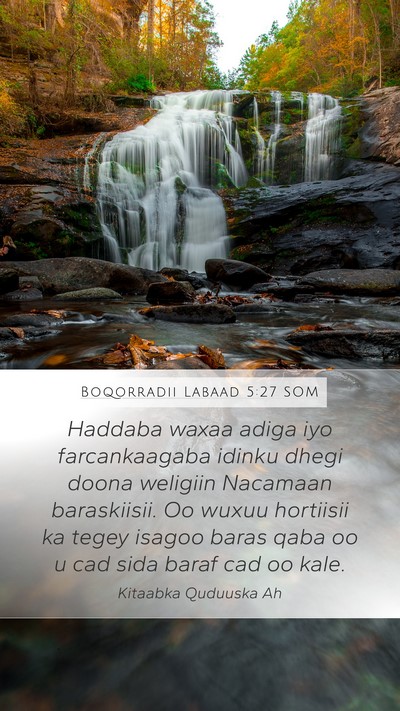 Boqorradii Labaad 5:27 SOM Bible Verse Image