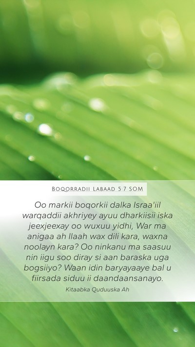 Boqorradii Labaad 5:7 SOM Bible Verse Image