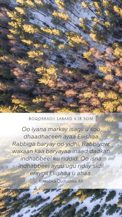 Boqorradii Labaad 6:18 SOM Bible Verse Image