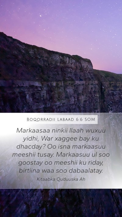Boqorradii Labaad 6:6 SOM Bible Verse Image