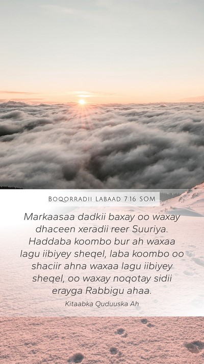 Boqorradii Labaad 7:16 SOM Bible Verse Image