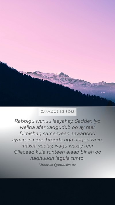 Caamoos 1:3 SOM Bible Verse Image