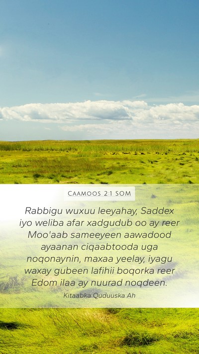 Caamoos 2:1 SOM Bible Verse Image