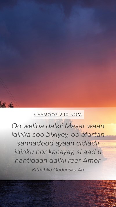 Caamoos 2:10 SOM Bible Verse Image