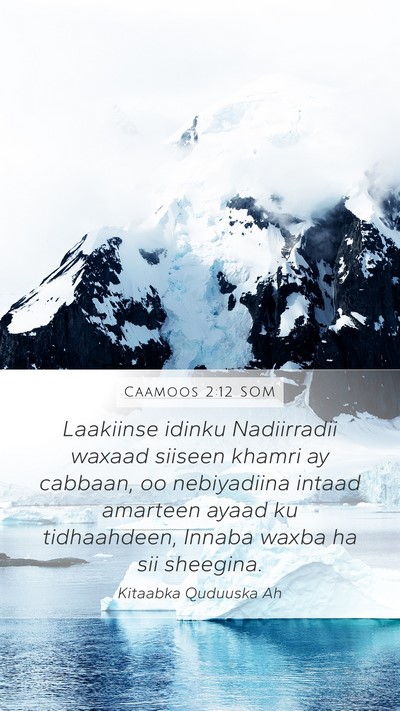 Caamoos 2:12 SOM Bible Verse Image
